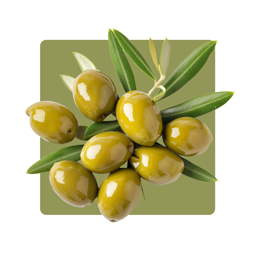 Olive-ve