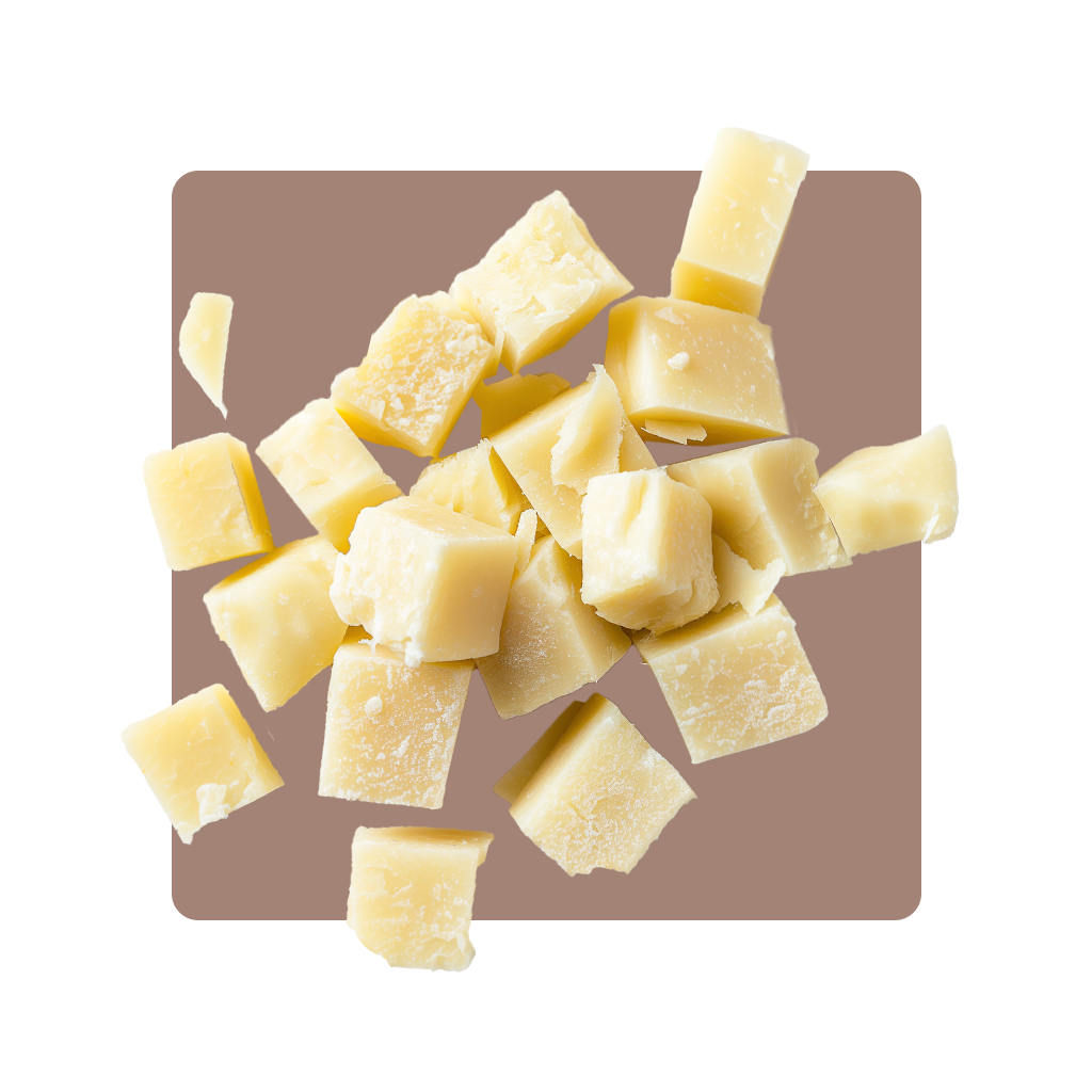 Pecorino-cane-gr