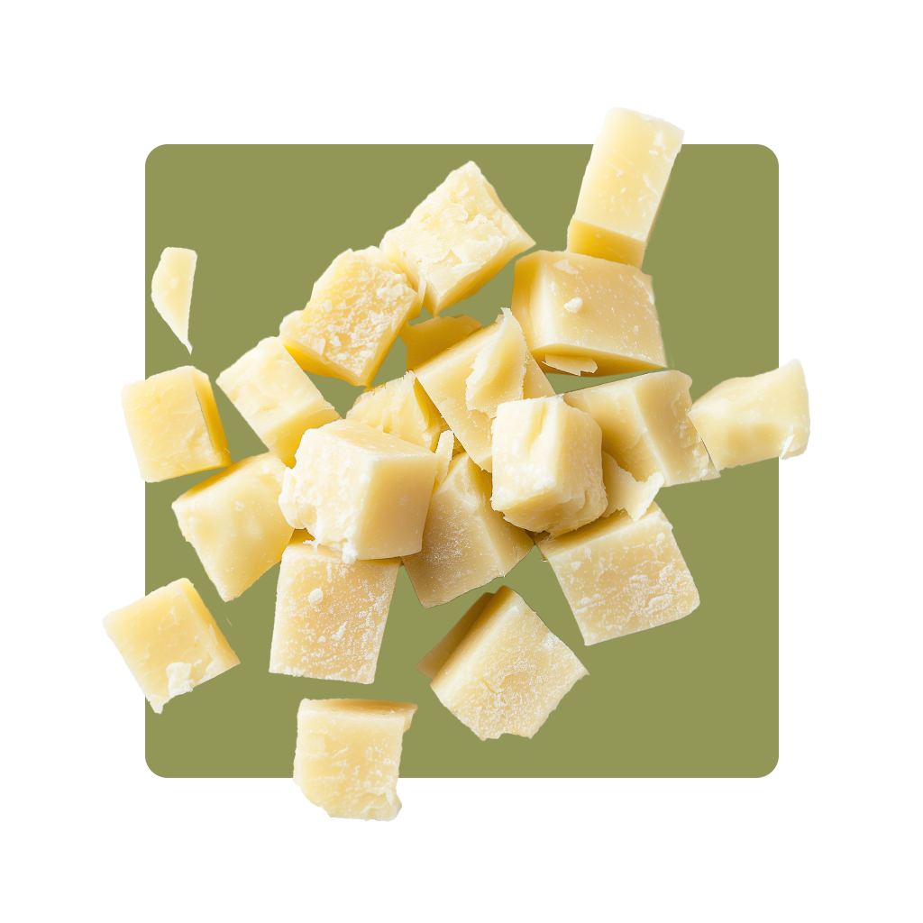Pecorino-cane-ve