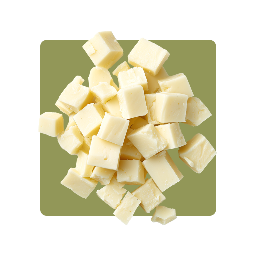 caciotta-mucca-ve